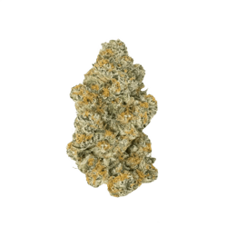 Cannamedical Sativa classic Venomz Eve